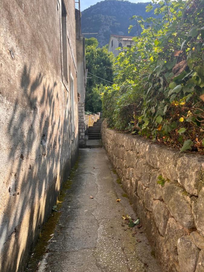 Apartment With Sea View Kotor Exterior foto